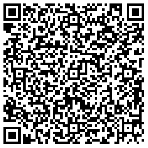 Максавит Северодвинск Лебедева, 7а контакты qr