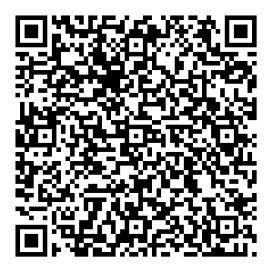 МАЯК Тула Вяземская, 17я контакты qr