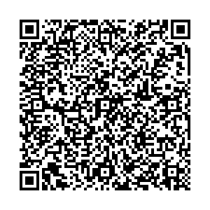 Мегалэнд Челябинск Труда, 203 контакты qr