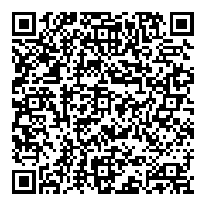 MILA Пермь ул. Лодыгина 9 контакты qr