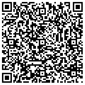 Молния Челябинск ул. Жукова, 8 контакты qr