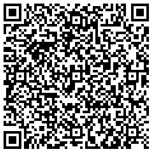 Монетка Пермь Ким, 13 контакты qr