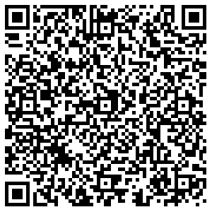 OZON Тольятти Лизы Чайкиной, 68 контакты qr