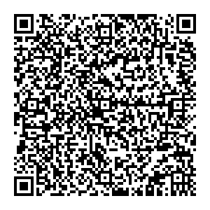 Пальметта Нижний Новгород УЛ. БЕТАНКУРА, Д. 1 контакты qr