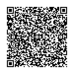 Пятерочка Электросталь Рабочая, 2 контакты qr