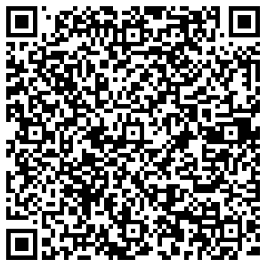 Пятерочка Тольятти Лизы Чайкиной, 52 контакты qr