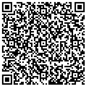 Пятерочка Самара Мичурина, 137 контакты qr