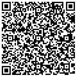 Пятерочка Михайловск Пушкина, 21 контакты qr