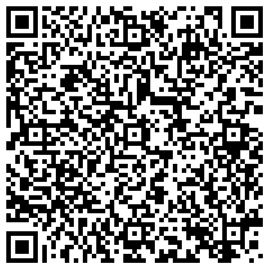 РЕСО Нижний Тагил Окунева, 53 контакты qr