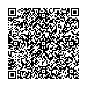 Русская дымка Балаково Волжская, 100/1 контакты qr