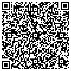 Шелл Тольятти Борковская, 91а контакты qr