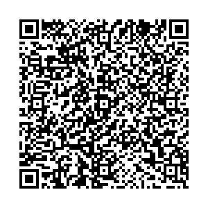 СтоЛото Воронеж Машиностроителей, 51 контакты qr