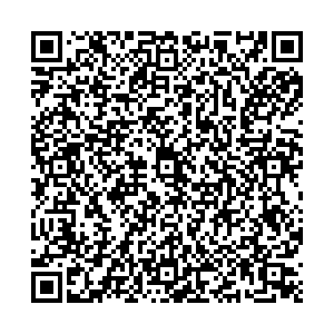 Светофор Воронеж Ленинский проспект, 174/10 контакты qr