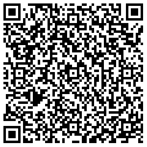 Светофор Брянск Мичурина 2-я, 38а контакты qr