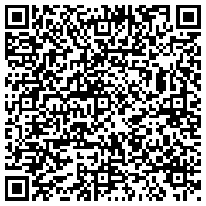 Светофор Пенза Дружбы, 27 контакты qr