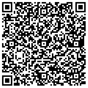 Travelata Дзержинский Лесная, 1 контакты qr