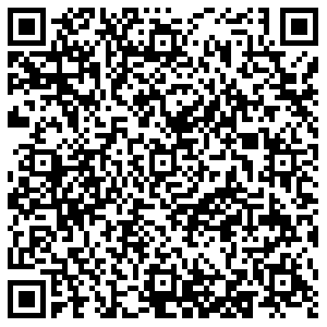 Vozovoz Воронеж Дружинников, 11 контакты qr