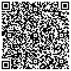 Вестфалика Пермь Вильямса, 41 контакты qr