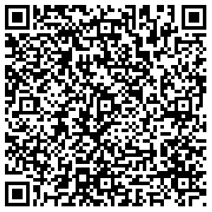 Живика Челябинск Шагольская, 39 контакты qr