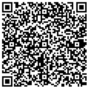 Золотой Нальчик Неделина, 2 контакты qr