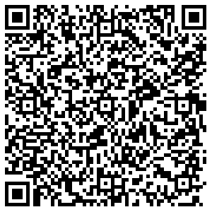 Zzap.ru Казань ул. Дементьева, 1 контакты qr